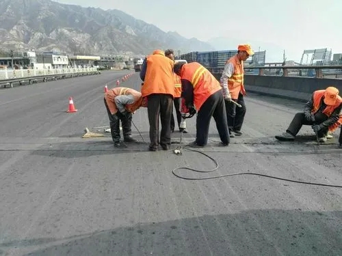 聂荣道路桥梁病害治理